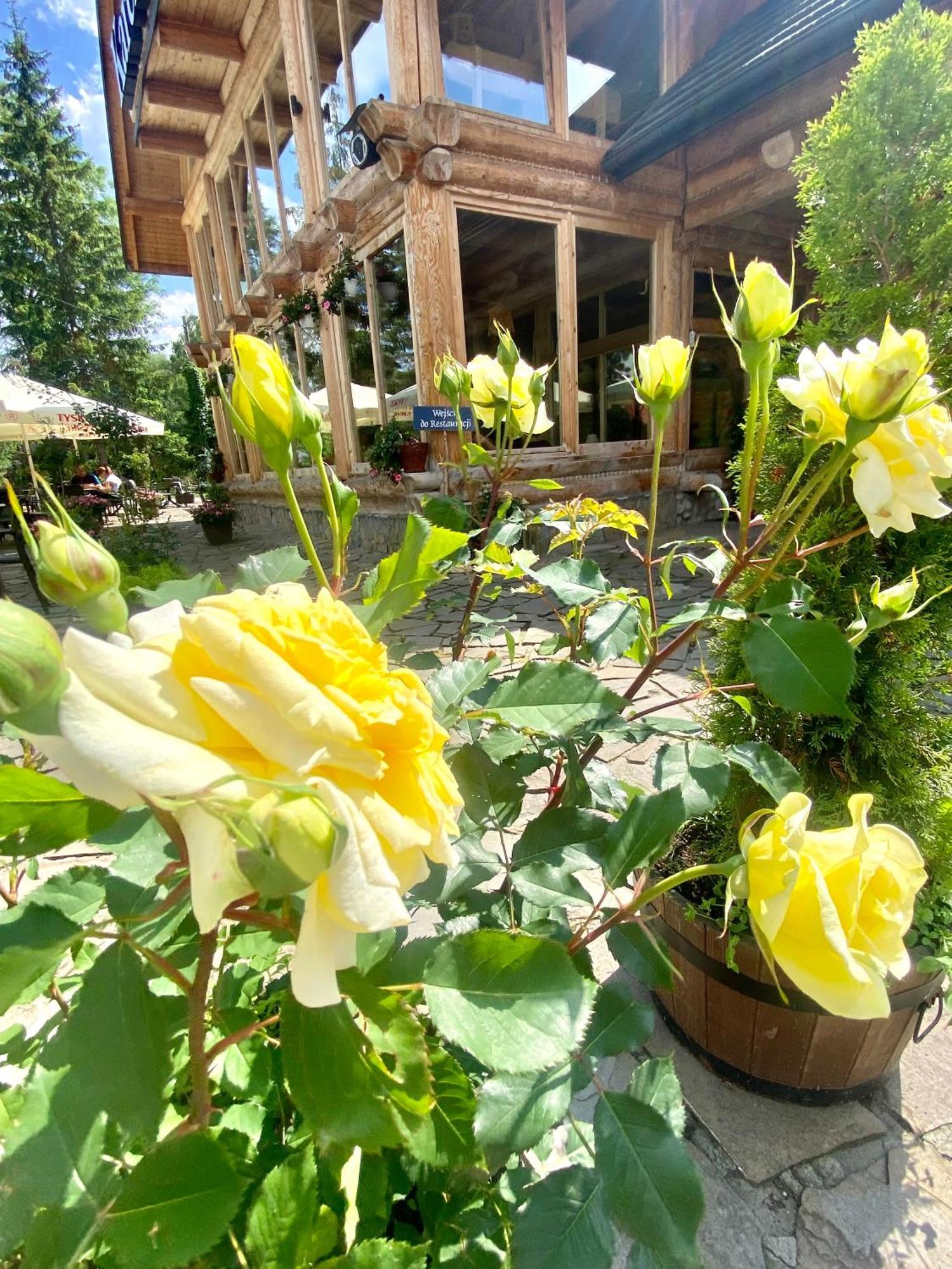 Bialka Tatrzanska 扎亚兹德比亚尔凯斯基旅馆酒店 外观 照片